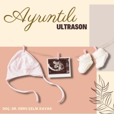 Elazığ ayrıntılı ultrason