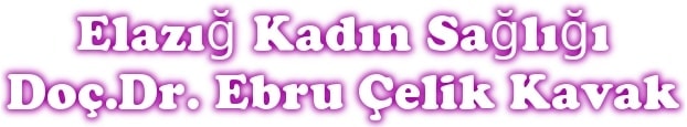 Elazığ kadın sağlığı Doç Dr Ebru Çelik Kavak