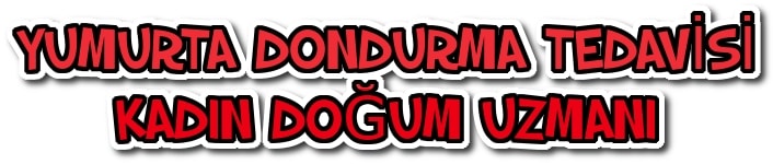 yumurta dondurma tedavisi kadın doğum uzmanı kadın hastalıkları doktoru